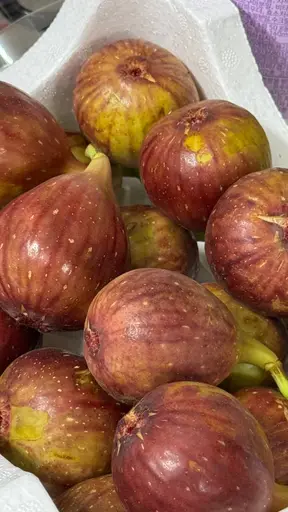 Close-up pile of fresh purple figs in a white styrofoam container